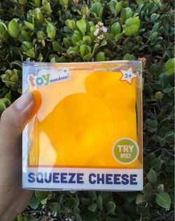 Cheese Squishy