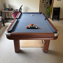 Pool Table/Dining Room Table