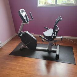 Recumbent Bike