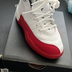 Jordan 12 