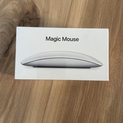 Apple Magic Mouse V2