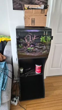 15g Fluval Flex fish tank with accessaries amd stand