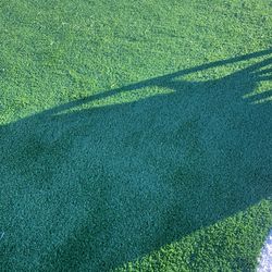 Brand New Turf