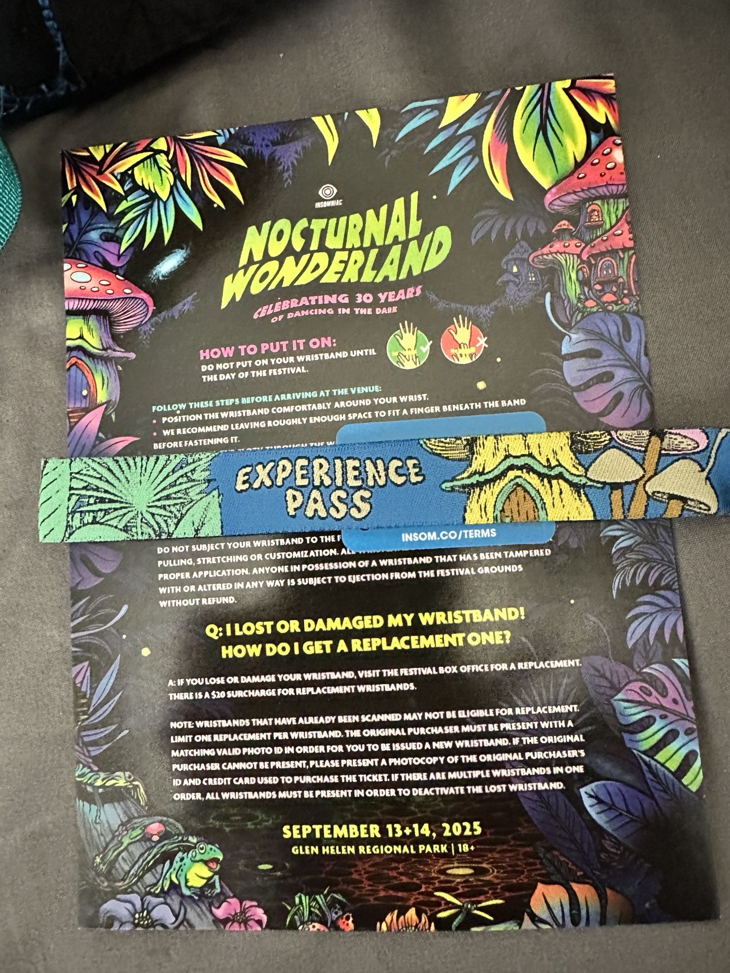 Nocturnal Wonderland Ticket 