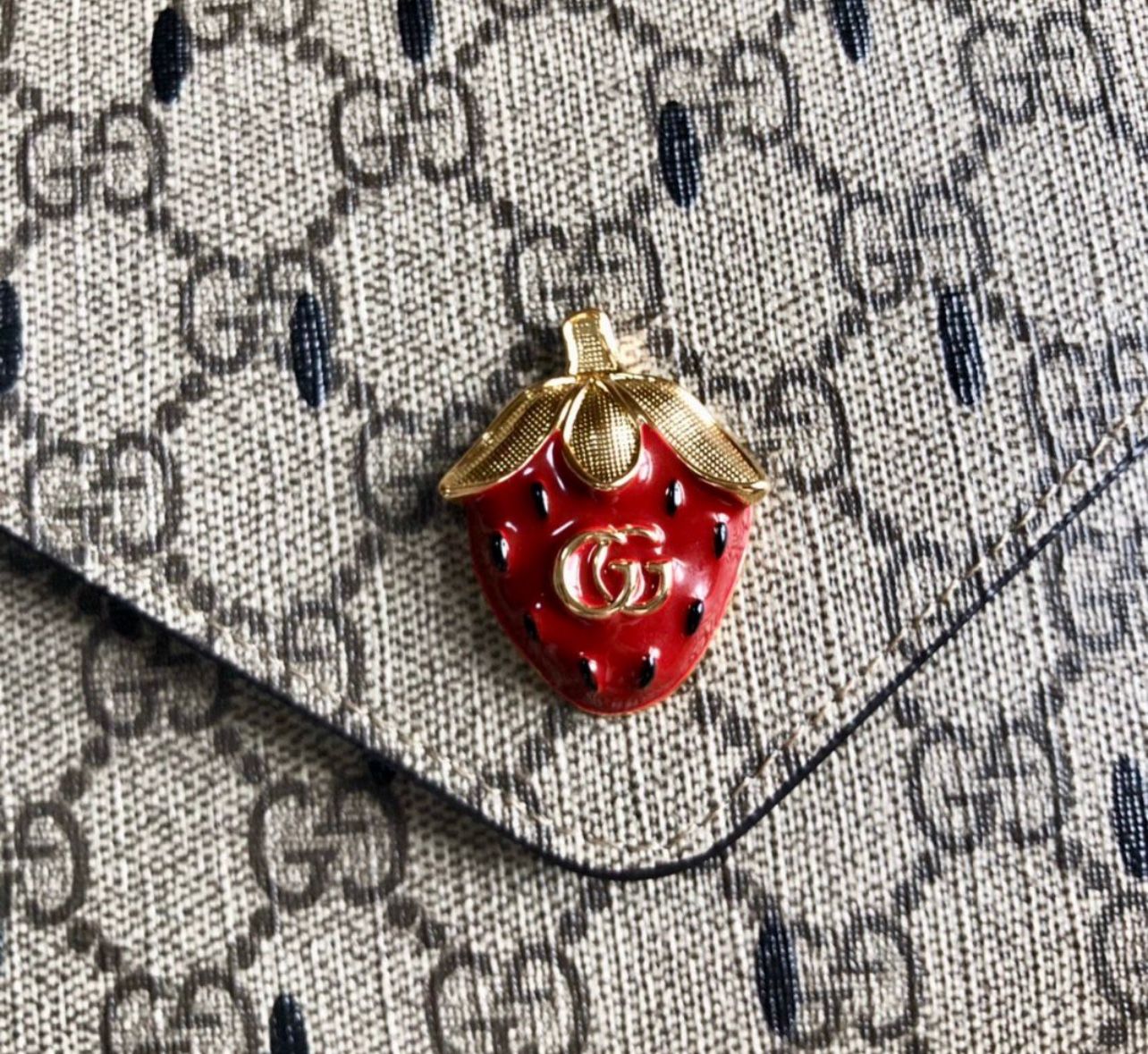 Gucci Wallet On chains