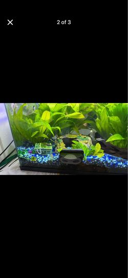 Fish tank