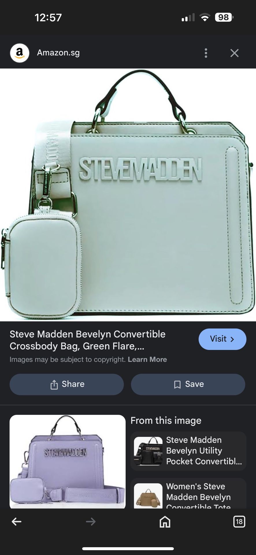 Steve Madden purse