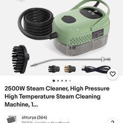Steam cleaner 