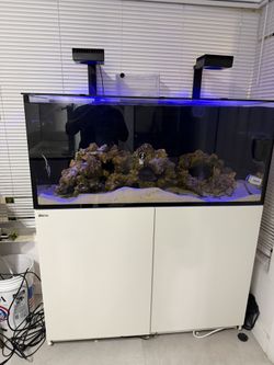 Red Sea 350 G2 Aquarium Saltwater Fishtank