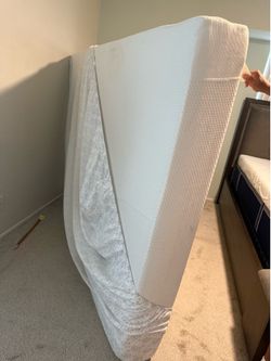 Foam queen Matress