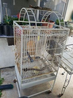 White Metal Bird Cage With Accessories