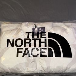 The north face jacket