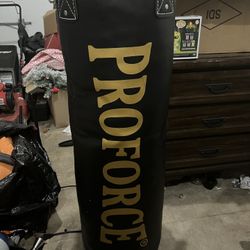 Proforce Punching Bag