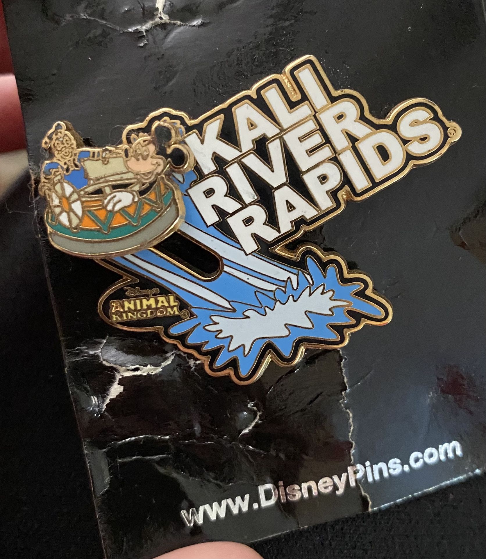 Kali River Rapids Pin