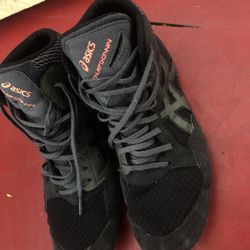 Wrestling Shoes 