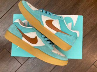 Brand new Nike SB force. Men’s Size 9.