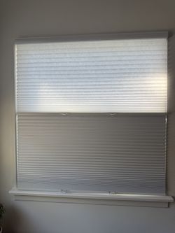 Brand New Cellular Window Blinds — Blackout + Light Filtering, 50.75" x 50.25"