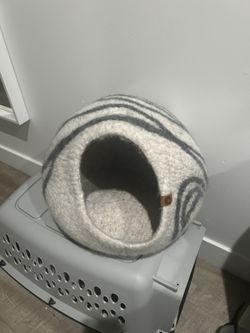 Cat Cave New