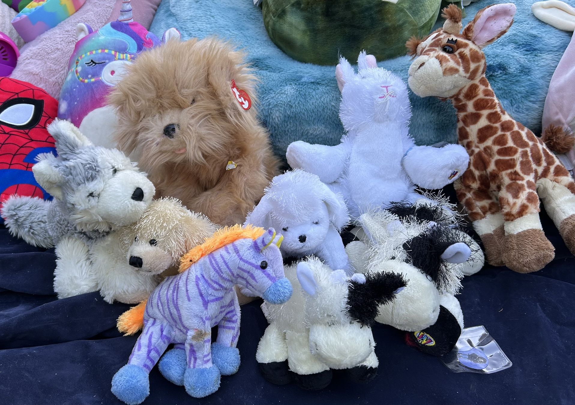 Webkinz