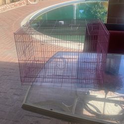 Pink Bird Cage