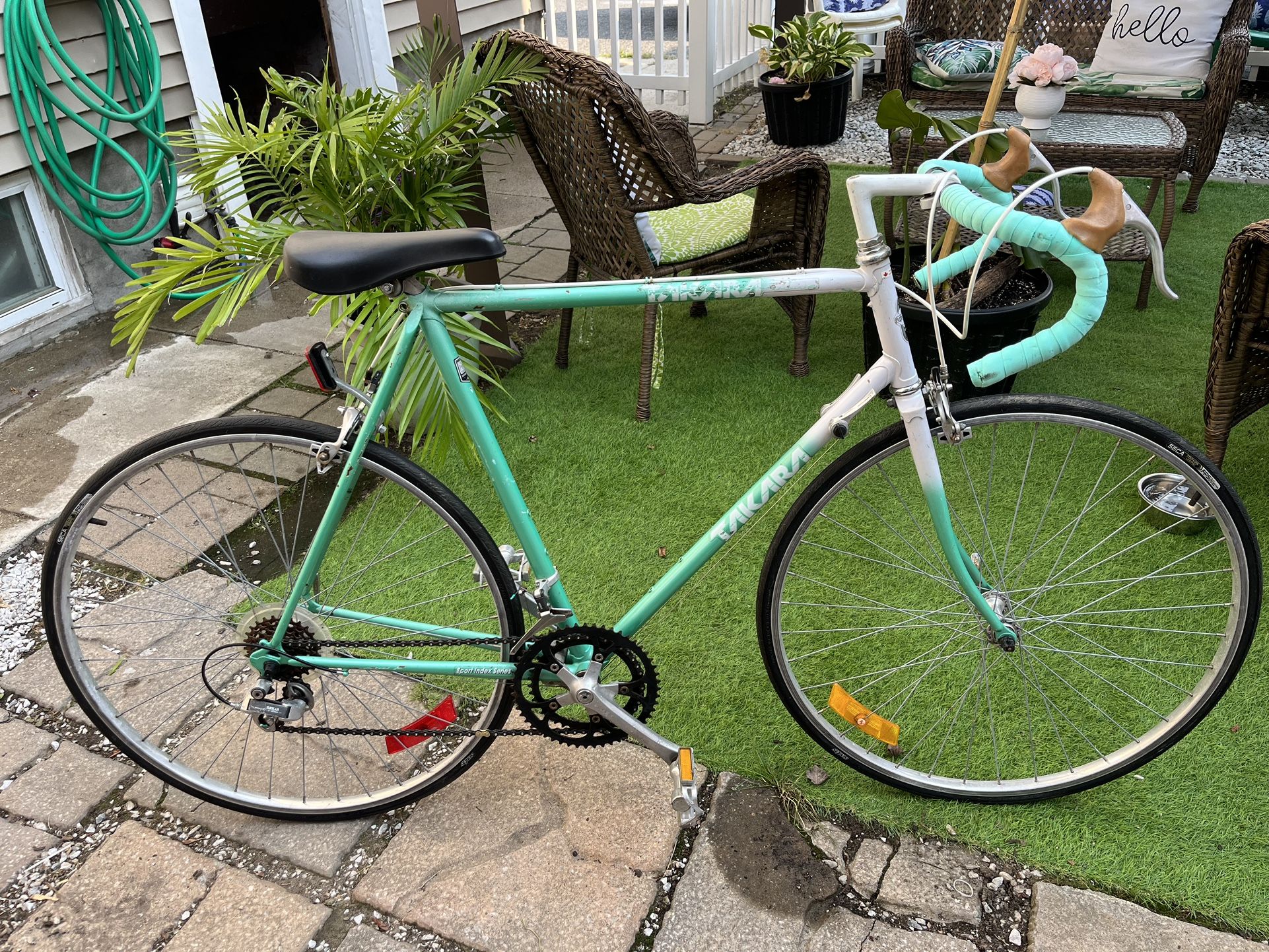 Takara Bike 12 Speed