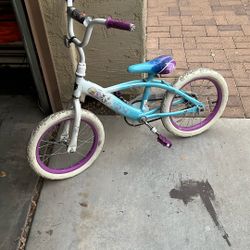 Frozen Bike 
