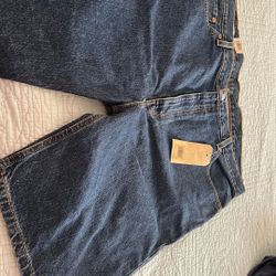 Levi Shorts Size 42