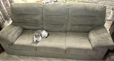 Light grey couch