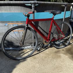 Fixed Gear Bicycle Throne