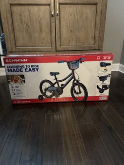 Schwinn flywheel hotsell 16 inch bike