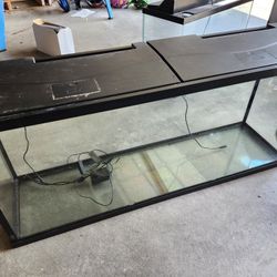 Lots Of Aquariums And Supplies