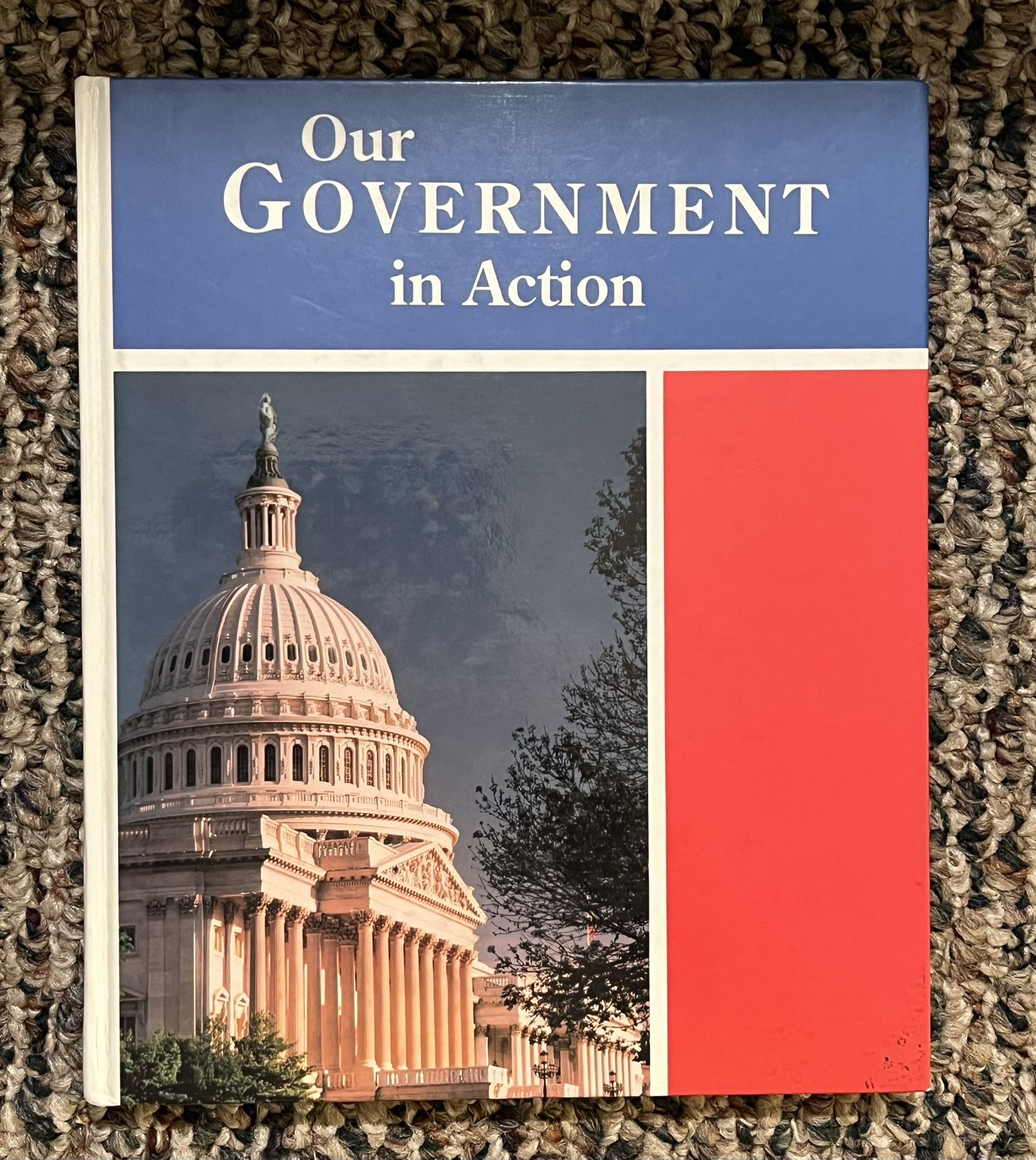 Our Government in Action