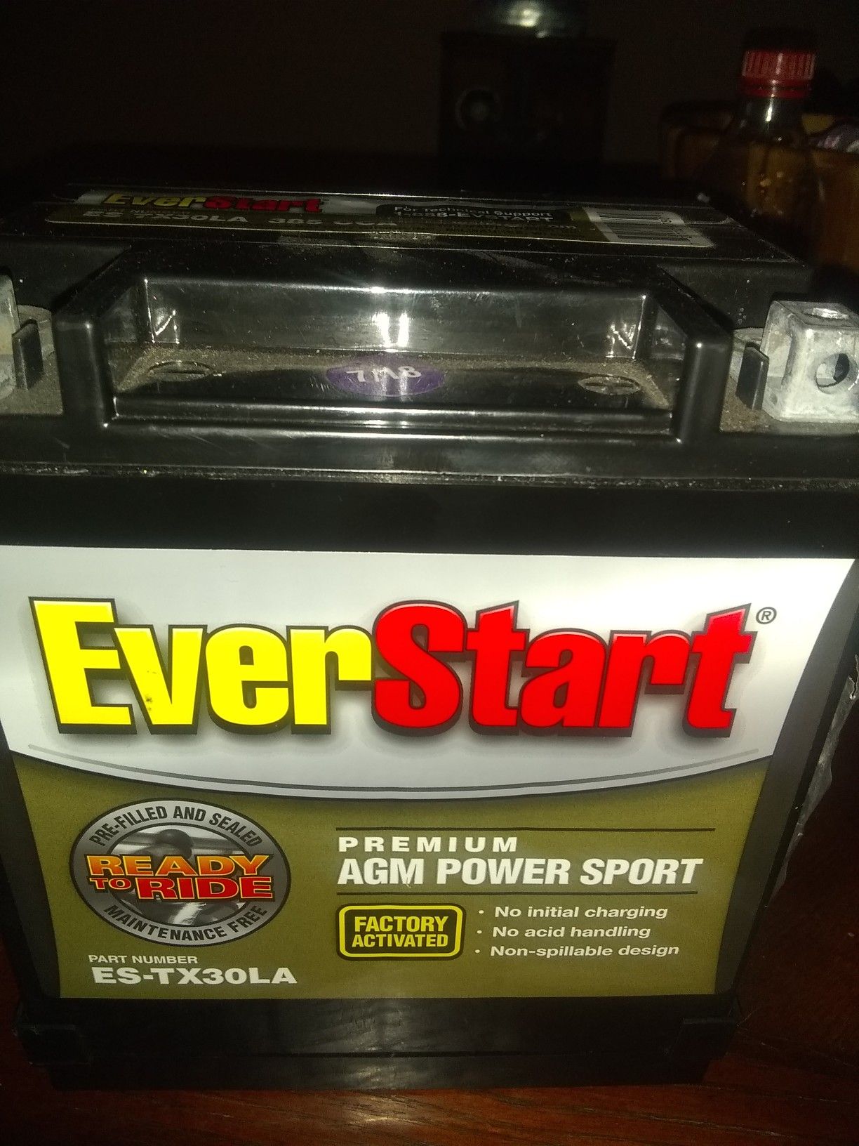 EverStart Battery ES-TX30LA