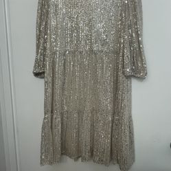 Sequin Silver Dress 