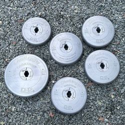 Set Of 6 Assorted Silver Challenger Orbatron DP Workout Gym Fitness Weight Plates