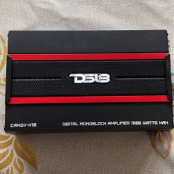 Ds18 And Kenwood Amplifier 