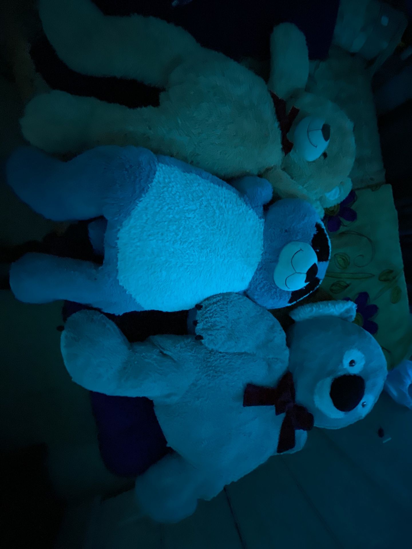 Teddy Bears