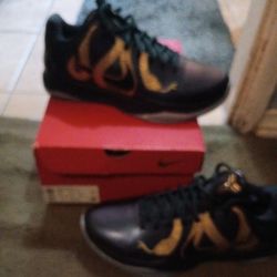 Kobe V Proto Size 10