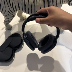 Air Pod Maxs Black Usbc