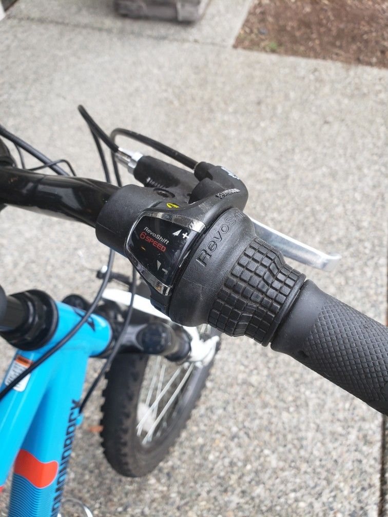 Bike 20 Inches