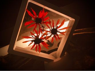3D framed Black Eyed Susan
