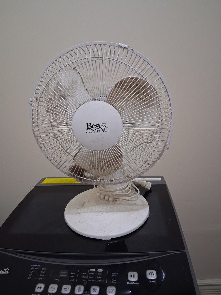 A Fan For Sale 