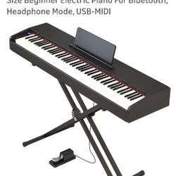 Full Size Weighted Keyboard