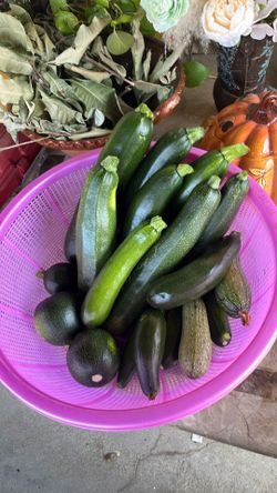 Calabacitas tiernas  a la venta  $1 la libra.