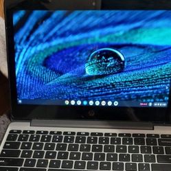 Hp  Chromebook Touchscreen 