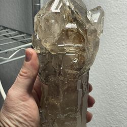 Rare elestial smoky citrine scepter 