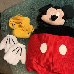 Mikey Mouse Costume 