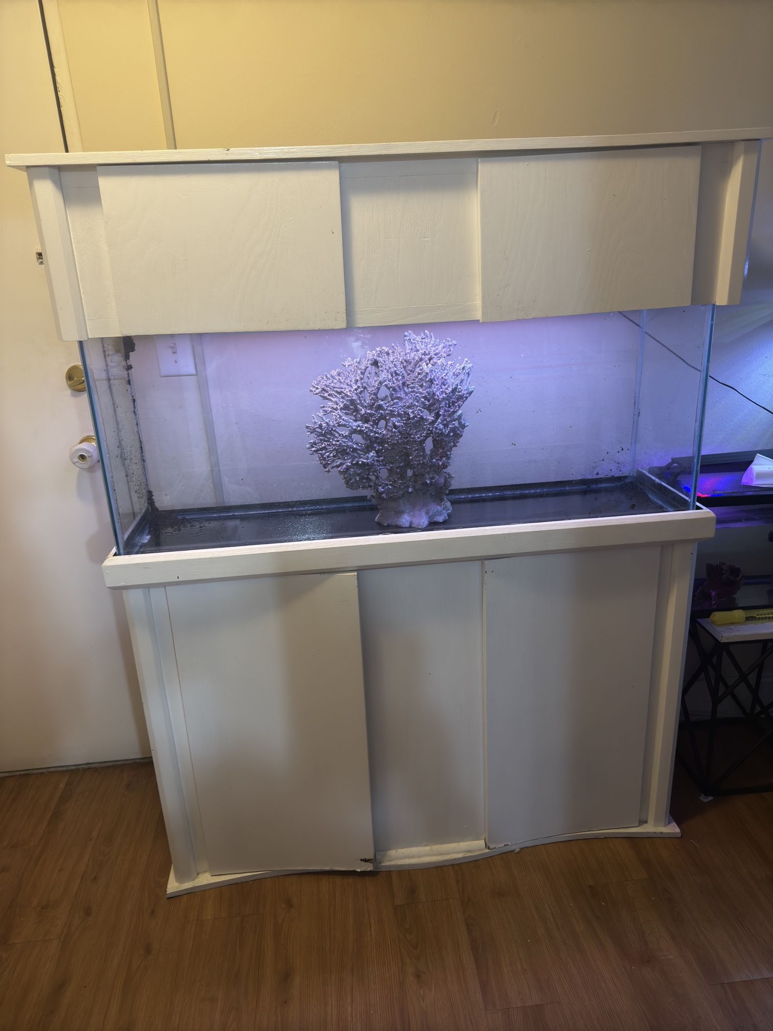 55G. Fish Tank