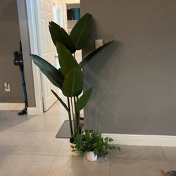 Fake House Plants For Sale 