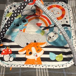 Baby playmat 